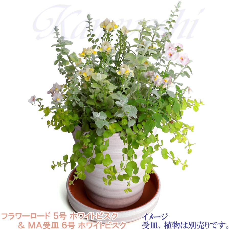 植木鉢 おしゃれ 安い 陶器 サイズ 16cm フラワーロード 5号 ホワイトビスク 室内 屋外 レンガ 色 |  | 11