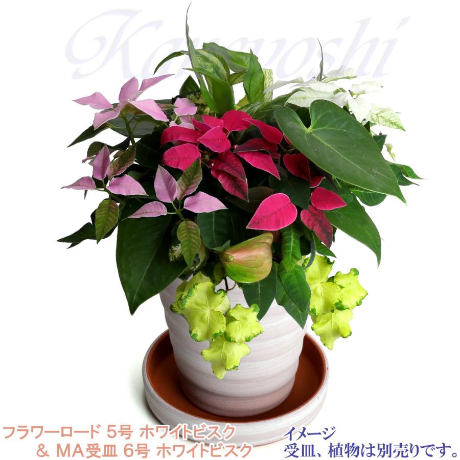 植木鉢 おしゃれ 安い 陶器 サイズ 16cm フラワーロード 5号 ホワイトビスク 室内 屋外 レンガ 色 |  | 12