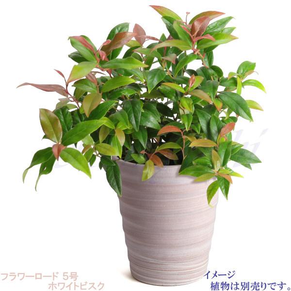 植木鉢 おしゃれ 安い 陶器 サイズ 16cm フラワーロード 5号 ホワイトビスク 室内 屋外 レンガ 色 |  | 07