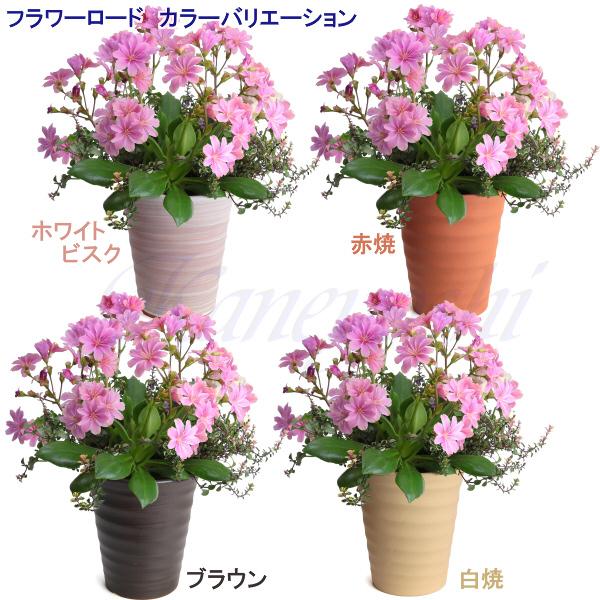 植木鉢 おしゃれ 安い 陶器 サイズ 16cm フラワーロード 5号 ホワイトビスク 室内 屋外 レンガ 色 |  | 13