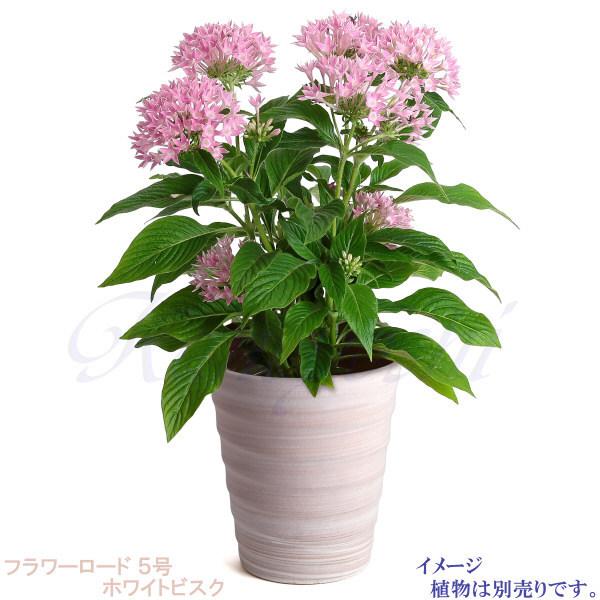 植木鉢 おしゃれ 安い 陶器 サイズ 16cm フラワーロード 5号 ホワイトビスク 室内 屋外 レンガ 色 |  | 08