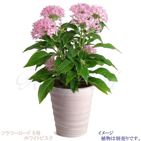 植木鉢 おしゃれ 安い 陶器 サイズ 16cm フラワーロード 5号 ホワイトビスク 室内 屋外 レンガ 色｜docchan｜09