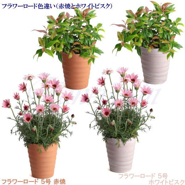 植木鉢 おしゃれ 安い 陶器 サイズ 16cm フラワーロード 5号 ホワイトビスク 室内 屋外 レンガ 色｜docchan｜14