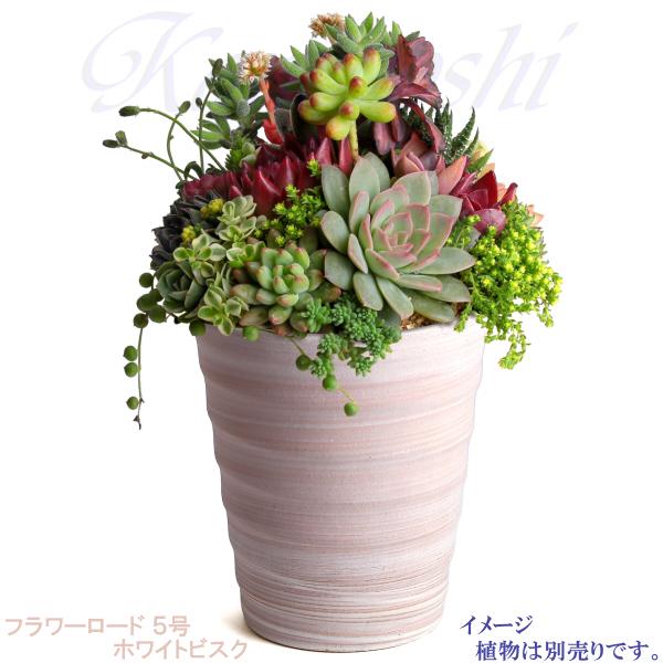 植木鉢 おしゃれ 安い 陶器 サイズ 16cm フラワーロード 5号 ホワイトビスク 室内 屋外 レンガ 色 |  | 09