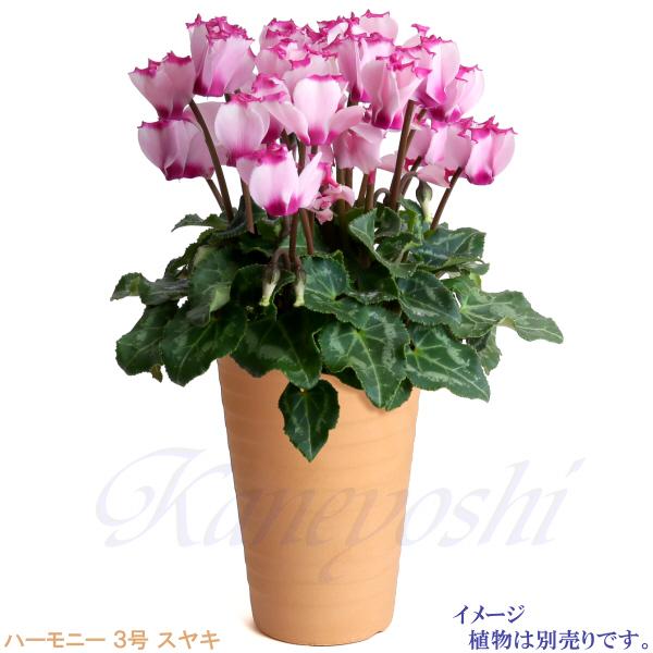 植木鉢 おしゃれ 安い 陶器 サイズ 10cm ハーモニー 3号 スヤキ 室内 屋外 レンガ 色 |  | 09