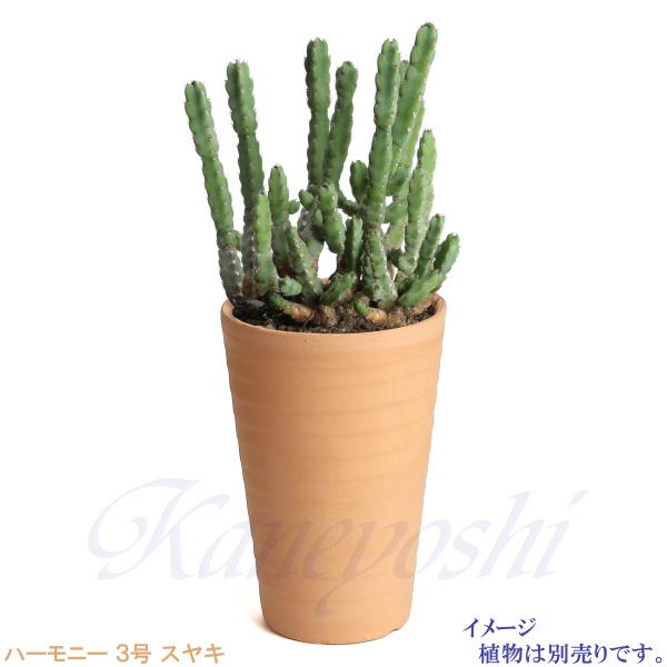 植木鉢 おしゃれ 安い 陶器 サイズ 10cm ハーモニー 3号 スヤキ 室内 屋外 レンガ 色 |  | 10