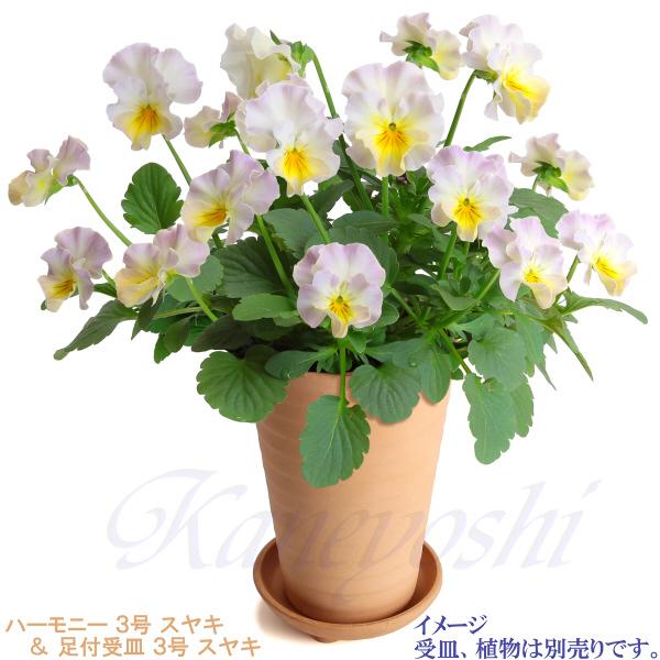 植木鉢 おしゃれ 安い 陶器 サイズ 10cm ハーモニー 3号 スヤキ 室内 屋外 レンガ 色 |  | 12