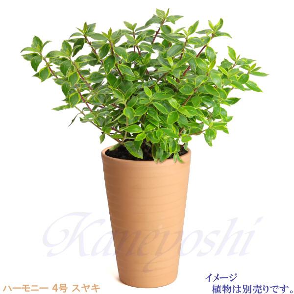 植木鉢 おしゃれ 安い 陶器 サイズ 13cm ハーモニー 4号 スヤキ 室内 屋外 レンガ 色 |  | 10