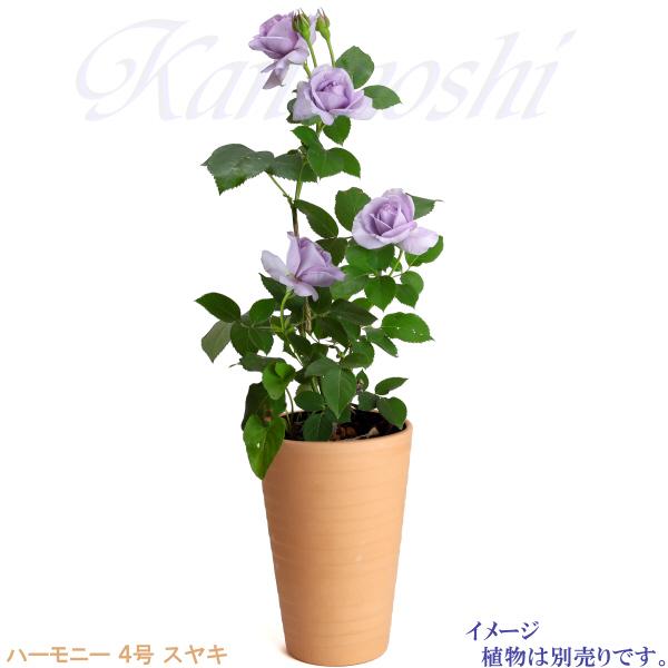 植木鉢 おしゃれ 安い 陶器 サイズ 13cm ハーモニー 4号 スヤキ 室内 屋外 レンガ 色 |  | 11