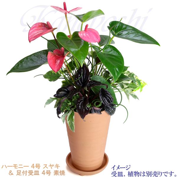 植木鉢 おしゃれ 安い 陶器 サイズ 13cm ハーモニー 4号 スヤキ 室内 屋外 レンガ 色 |  | 14