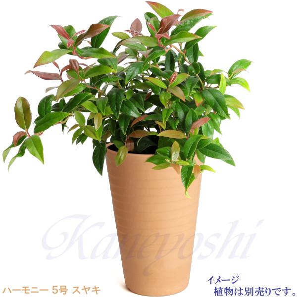 植木鉢 おしゃれ 安い 陶器 サイズ 15cm ハーモニー 5号 スヤキ 室内 屋外 レンガ 色 |  | 10