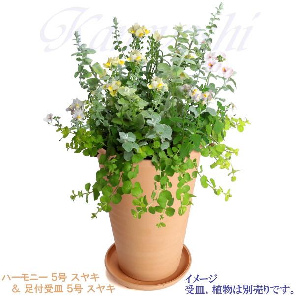 植木鉢 おしゃれ 安い 陶器 サイズ 15cm ハーモニー 5号 スヤキ 室内 屋外 レンガ 色 |  | 11