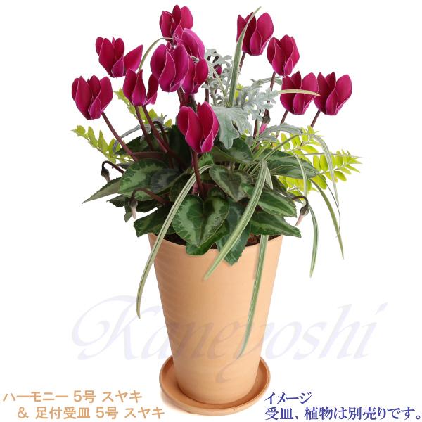 植木鉢 おしゃれ 安い 陶器 サイズ 15cm ハーモニー 5号 スヤキ 室内 屋外 レンガ 色 |  | 12