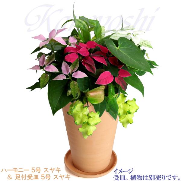 植木鉢 おしゃれ 安い 陶器 サイズ 15cm ハーモニー 5号 スヤキ 室内 屋外 レンガ 色 |  | 13