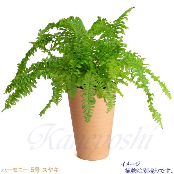 植木鉢 おしゃれ 安い 陶器 サイズ 15cm ハーモニー 5号 スヤキ 室内 屋外 レンガ 色 |  | 08