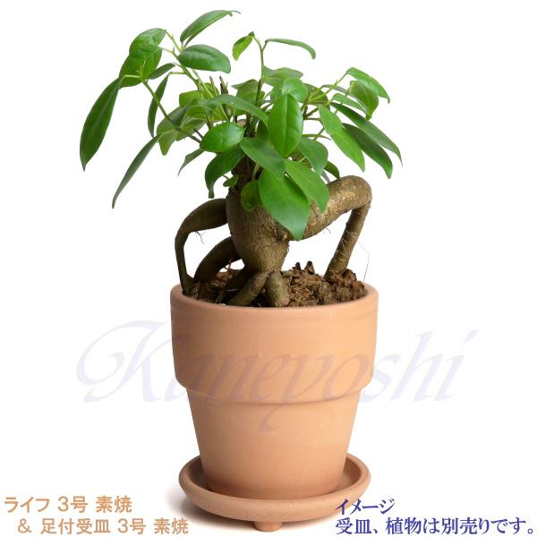 植木鉢 おしゃれ 安い 陶器 サイズ 10cm ライフ 3号 素焼 室内 屋外 レンガ 色 |  | 11