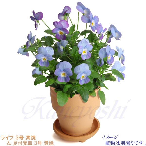 植木鉢 おしゃれ 安い 陶器 サイズ 10cm ライフ 3号 素焼 室内 屋外 レンガ 色 |  | 12