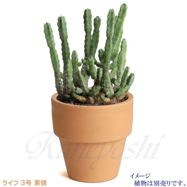 植木鉢 おしゃれ 安い 陶器 サイズ 10cm ライフ 3号 素焼 室内 屋外 レンガ 色 |  | 09