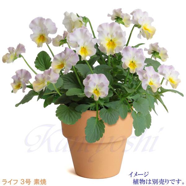 植木鉢 おしゃれ 安い 陶器 サイズ 10cm ライフ 3号 素焼 室内 屋外 レンガ 色 |  | 10