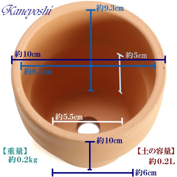 植木鉢 おしゃれ 安い 陶器 サイズ 10cm ライフ 3号 素焼 室内 屋外 レンガ 色 |  | 03