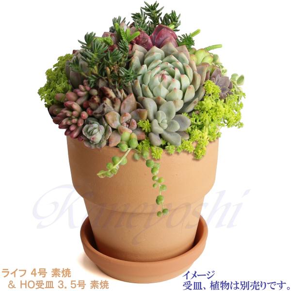 植木鉢 おしゃれ 安い 陶器 サイズ 13cm ライフ 4号 素焼 室内 屋外 レンガ 色 |  | 12
