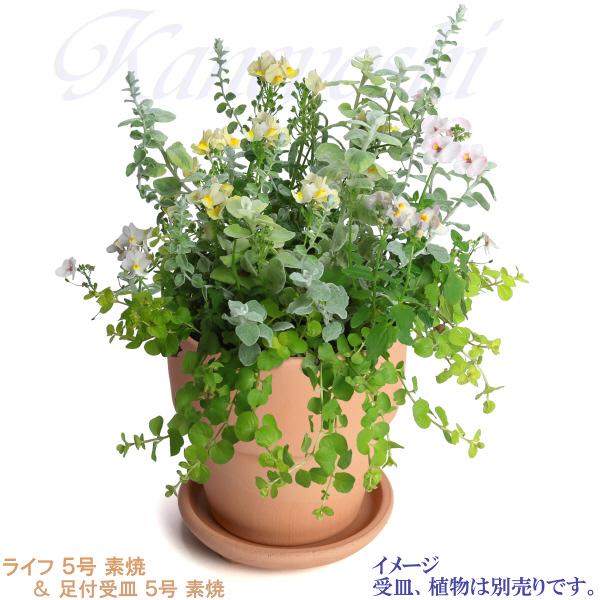 植木鉢 おしゃれ 安い 陶器 サイズ 16cm ライフ 5号 素焼 室内 屋外 レンガ 色 |  | 13