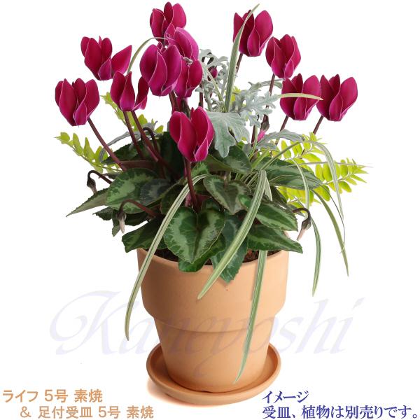 植木鉢 おしゃれ 安い 陶器 サイズ 16cm ライフ 5号 素焼 室内 屋外 レンガ 色 |  | 11