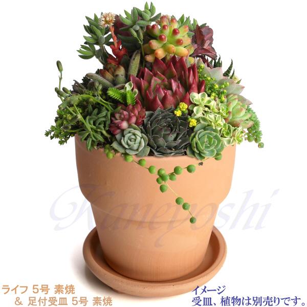 植木鉢 おしゃれ 安い 陶器 サイズ 16cm ライフ 5号 素焼 室内 屋外 レンガ 色 |  | 12