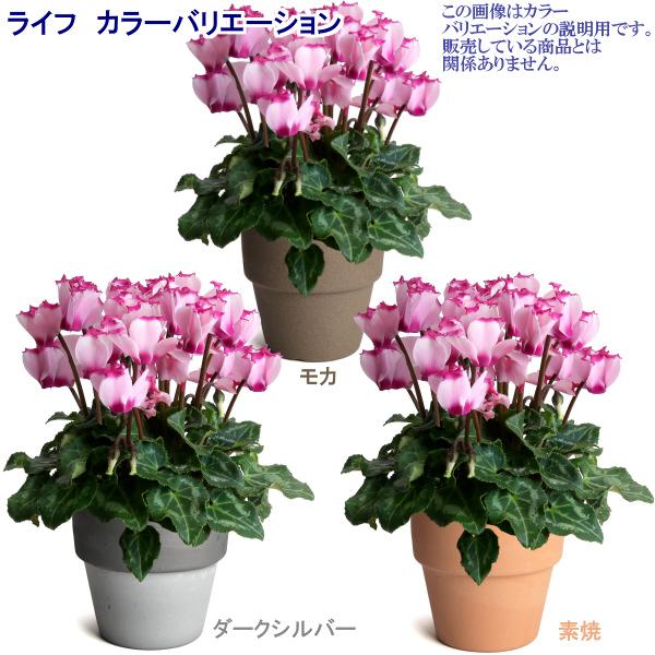 植木鉢 おしゃれ 安い 陶器 サイズ 16cm ライフ 5号 素焼 室内 屋外 レンガ 色 |  | 14