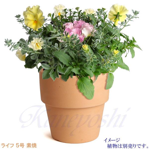 植木鉢 おしゃれ 安い 陶器 サイズ 16cm ライフ 5号 素焼 室内 屋外 レンガ 色 |  | 10