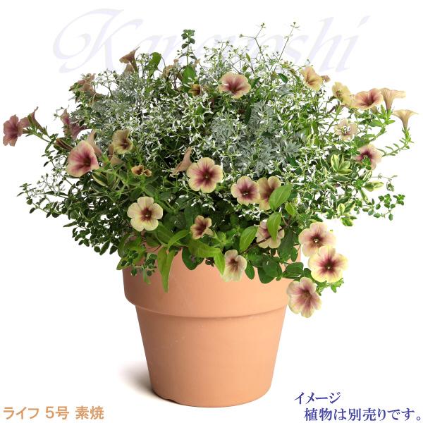 植木鉢 おしゃれ 安い 陶器 サイズ 16cm ライフ 5号 素焼 室内 屋外 レンガ 色 |  | 07