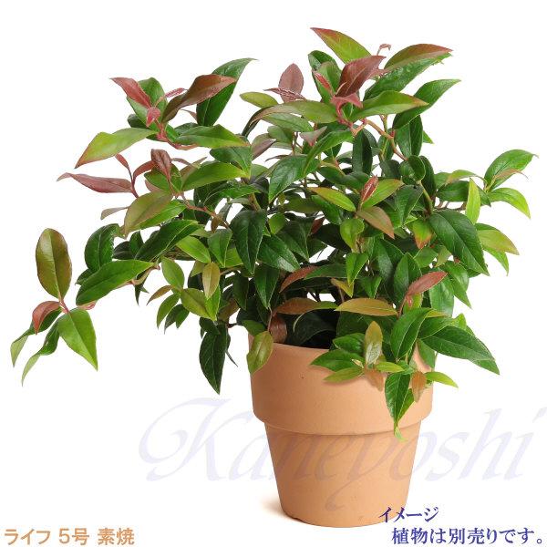 植木鉢 おしゃれ 安い 陶器 サイズ 16cm ライフ 5号 素焼 室内 屋外 レンガ 色 |  | 08