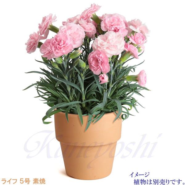 植木鉢 おしゃれ 安い 陶器 サイズ 16cm ライフ 5号 素焼 室内 屋外 レンガ 色 |  | 09