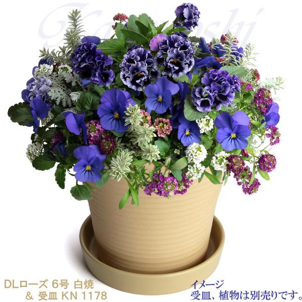 植木鉢 おしゃれ 安い 陶器 サイズ 20cm DLローズ 6号 白焼 室内 屋外 白 色｜docchan｜11