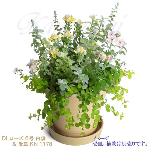 植木鉢 おしゃれ 安い 陶器 サイズ 20cm DLローズ 6号 白焼 室内 屋外 白 色 |  | 11