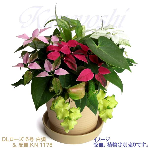 植木鉢 おしゃれ 安い 陶器 サイズ 20cm DLローズ 6号 白焼 室内 屋外 白 色 |  | 12