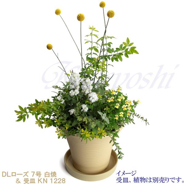 植木鉢 おしゃれ 安い 陶器 サイズ 23.5cm DLローズ 7号 白焼 室内 屋外 白 色 |  | 10