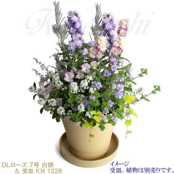 植木鉢 おしゃれ 安い 陶器 サイズ 23.5cm DLローズ 7号 白焼 室内 屋外 白 色 |  | 11