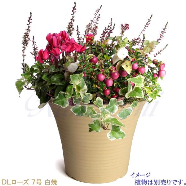 植木鉢 おしゃれ 安い 陶器 サイズ 23.5cm DLローズ 7号 白焼 室内 屋外 白 色 |  | 08