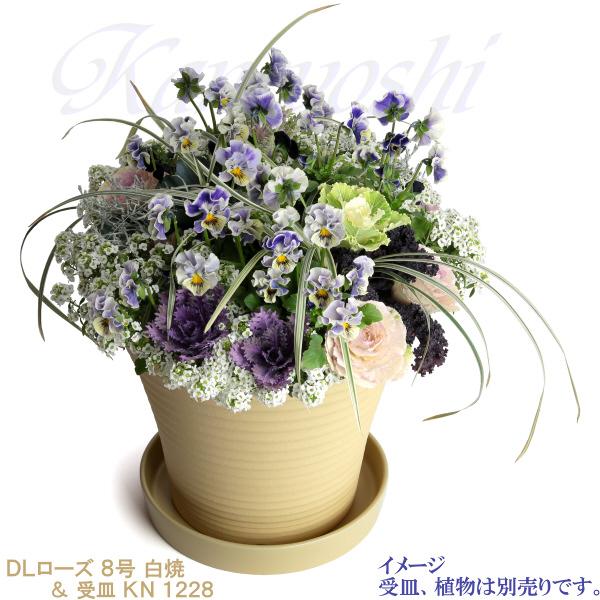 植木鉢 おしゃれ 安い 陶器 サイズ 26cm DLローズ 8号 白焼 室内 屋外 白 色 |  | 11