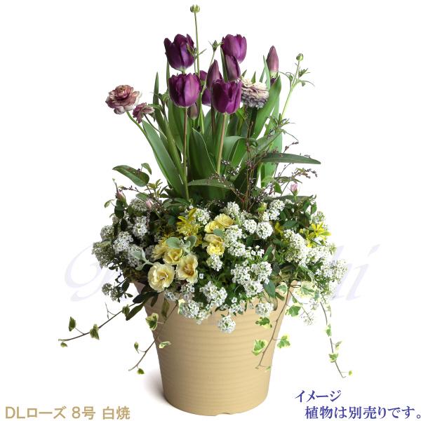 植木鉢 おしゃれ 安い 陶器 サイズ 26cm DLローズ 8号 白焼 室内 屋外 白 色 |  | 07