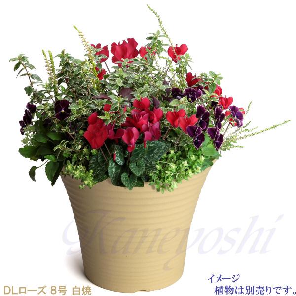 植木鉢 おしゃれ 安い 陶器 サイズ 26cm DLローズ 8号 白焼 室内 屋外 白 色 |  | 08