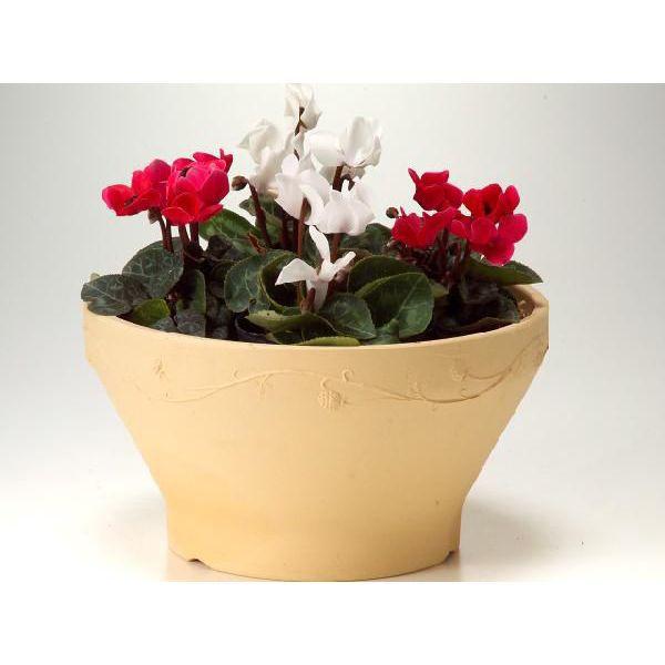 植木鉢 おしゃれ 安い 陶器 サイズ 25cm ナチュラルベリー 8号 白焼 室内 屋外 白 色 |  | 04