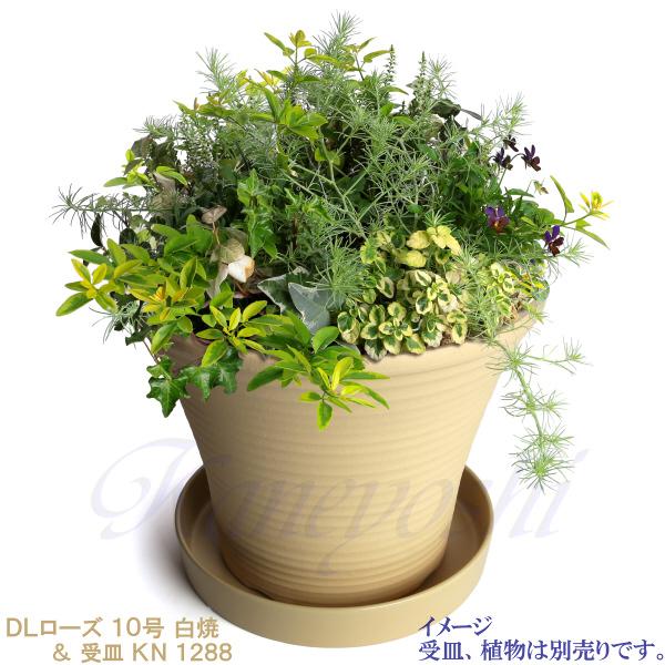 植木鉢 おしゃれ 安い 陶器 サイズ 31.5cm DLローズ 10号 白焼 室内 屋外 白 色 |  | 10