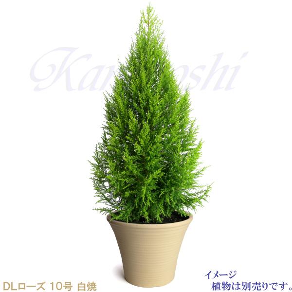 植木鉢 おしゃれ 安い 陶器 サイズ 31.5cm DLローズ 10号 白焼 室内 屋外 白 色 |  | 07