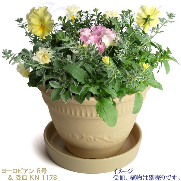 植木鉢 おしゃれ 安い 陶器 サイズ 19cm ヨーロピアン 6号 白焼 室内 屋外 白 色 |  | 11