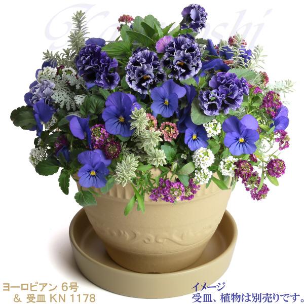 植木鉢 おしゃれ 安い 陶器 サイズ 19cm ヨーロピアン 6号 白焼 室内 屋外 白 色 |  | 12