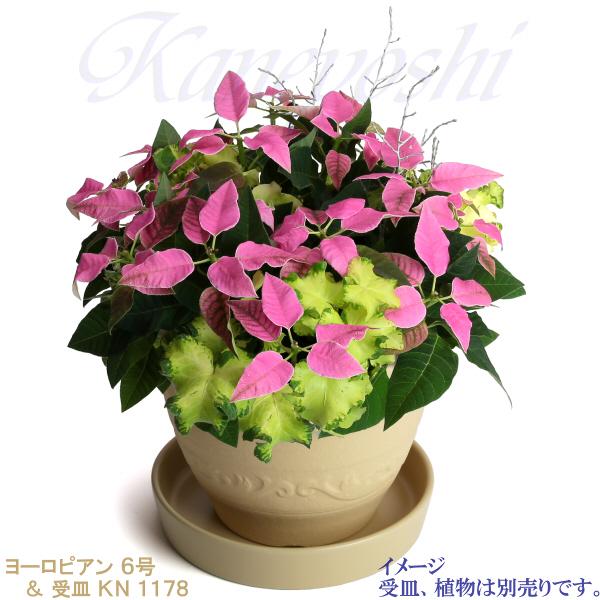 植木鉢 おしゃれ 安い 陶器 サイズ 19cm ヨーロピアン 6号 白焼 室内 屋外 白 色 |  | 13