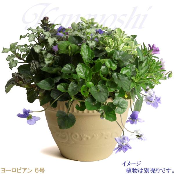 植木鉢 おしゃれ 安い 陶器 サイズ 19cm ヨーロピアン 6号 白焼 室内 屋外 白 色 |  | 08