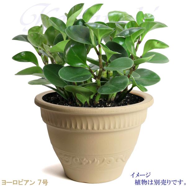 植木鉢 おしゃれ 安い 陶器 サイズ 22cm ヨーロピアン 7号 白焼 室内 屋外 白 色 |  | 10